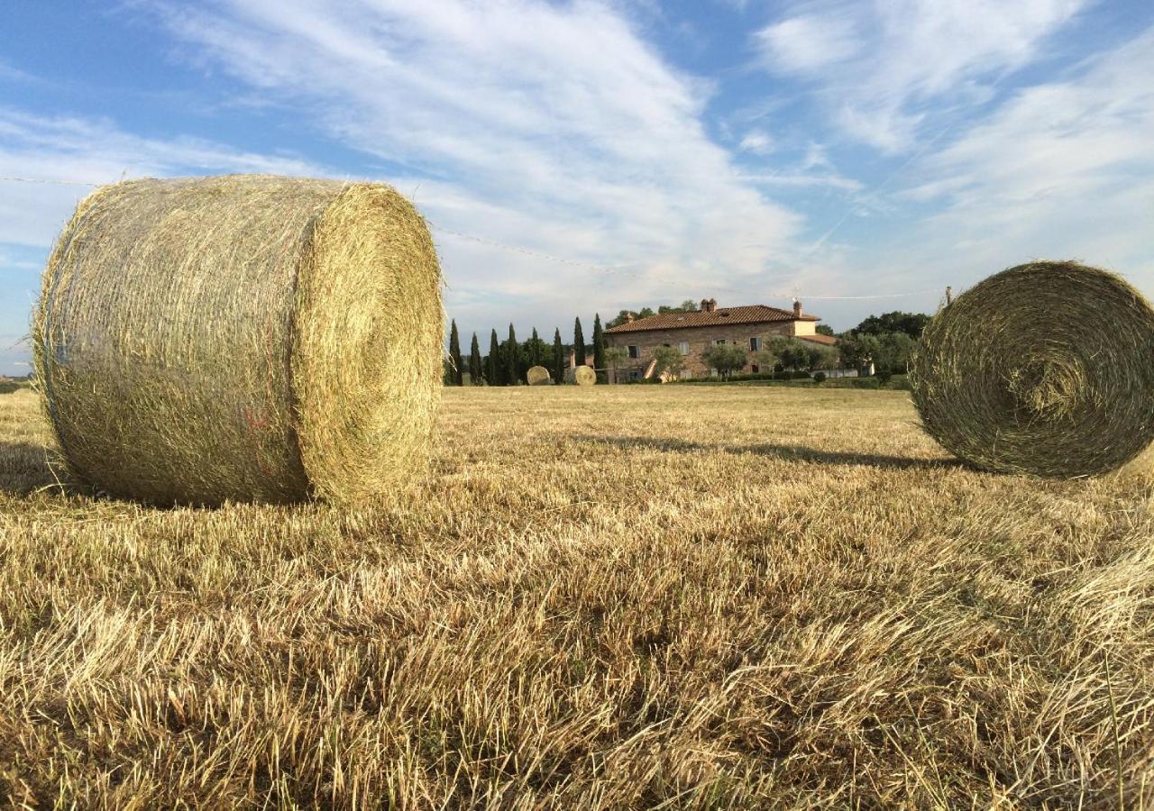 Borgo Solario Country house Castiglione del Lago